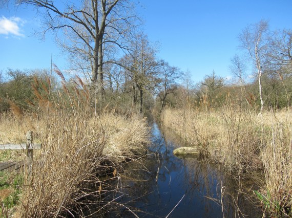Wood Walton Fen Nature Reserve