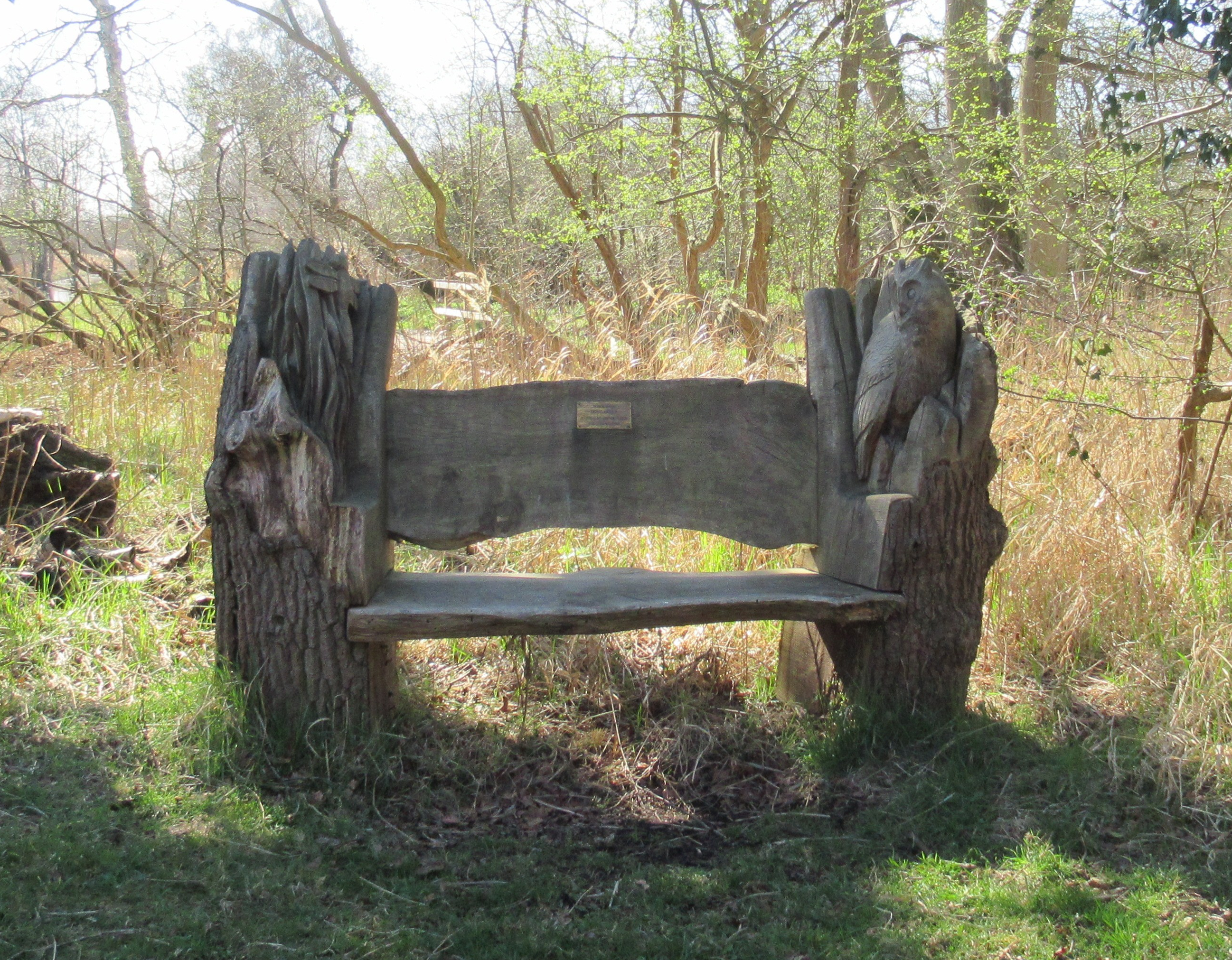 Carved Memorial Bench at Woodwalton Fen Nature Reserve