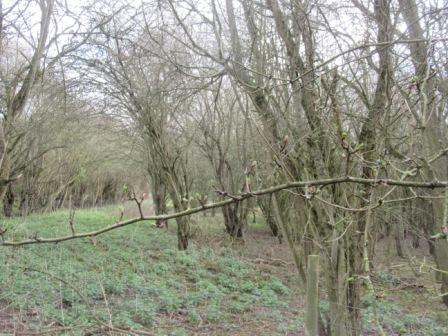 Getting ready to be switched on compressed